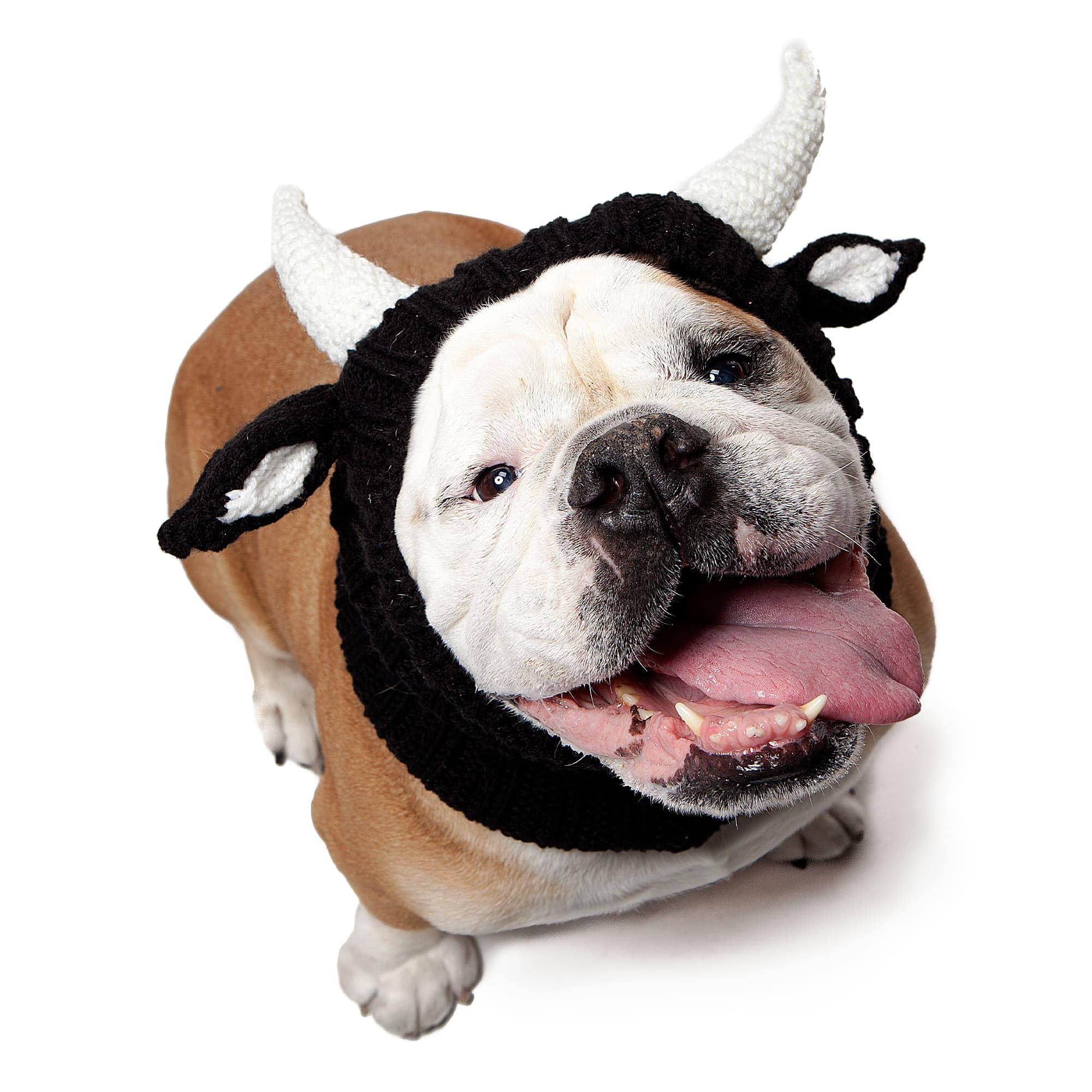 Bull Costume for Pets