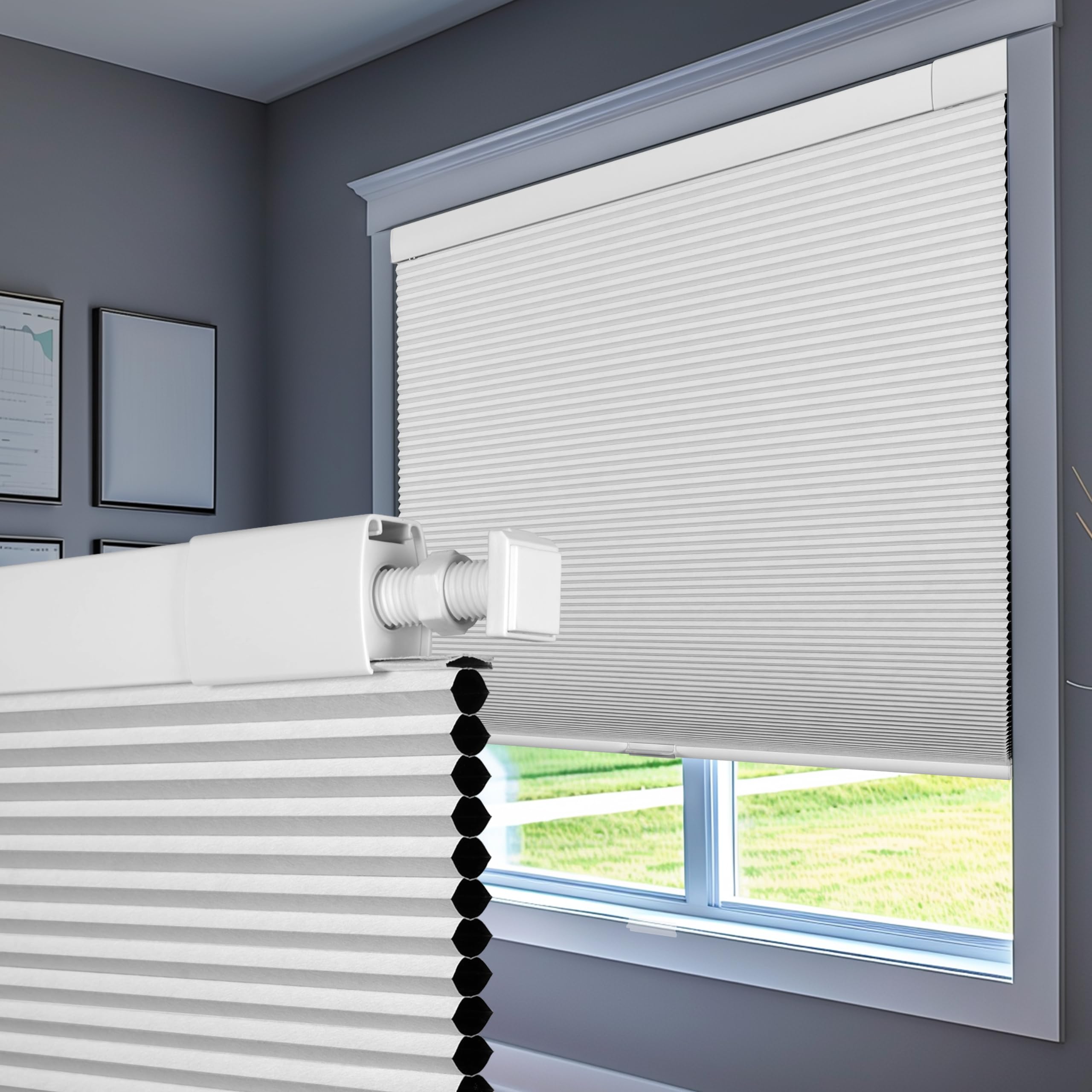 Cordless Honeycomb Blackout Shades
