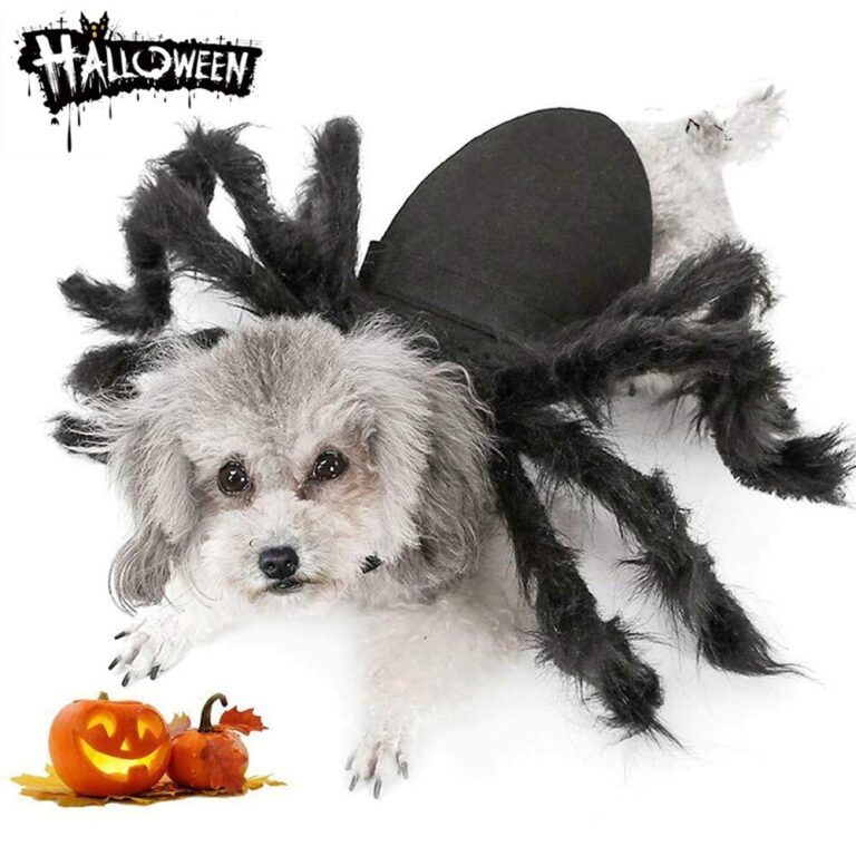 Spider Costume for Small Dogs and Cats