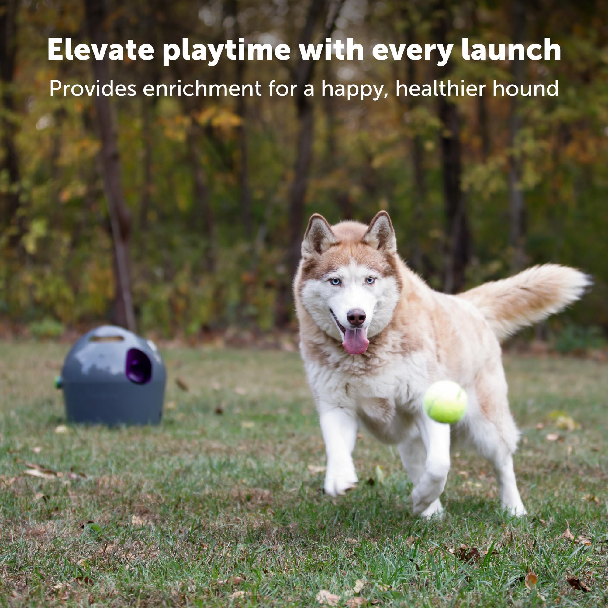 Automatic Dog Ball Launcher