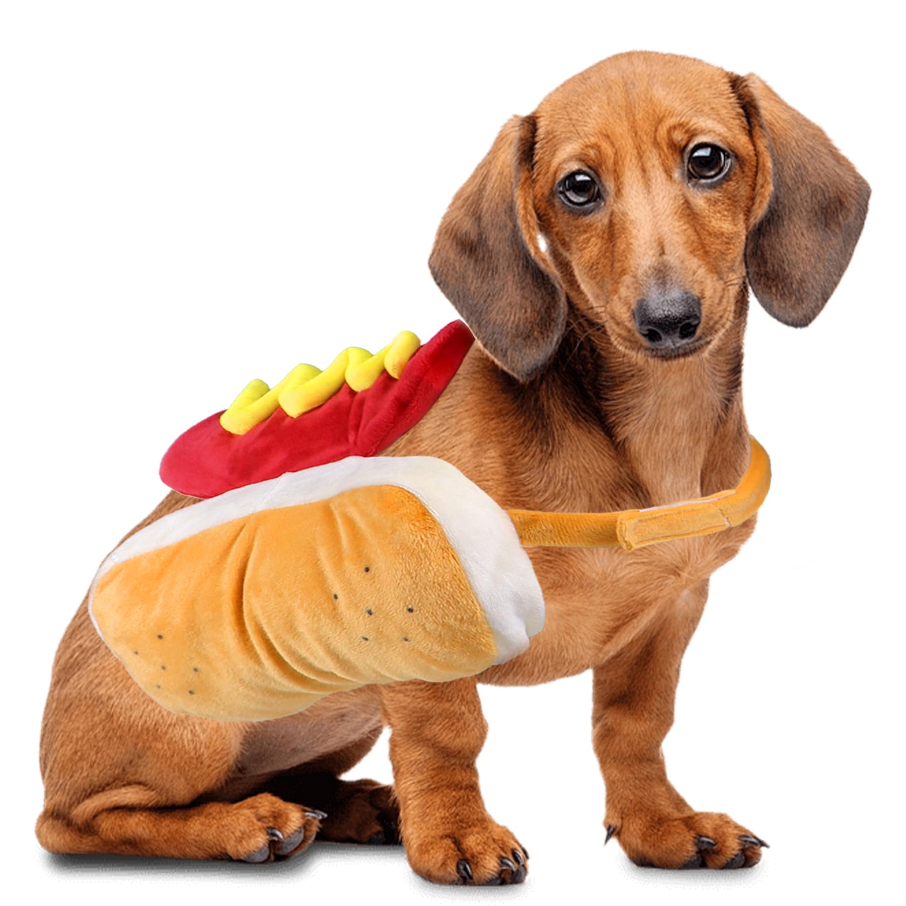 Funny Hot Dog Costume for Dogs