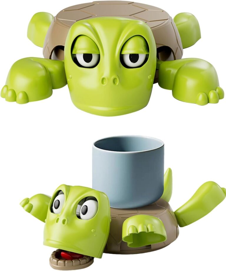 Interactive Turtle Coaster