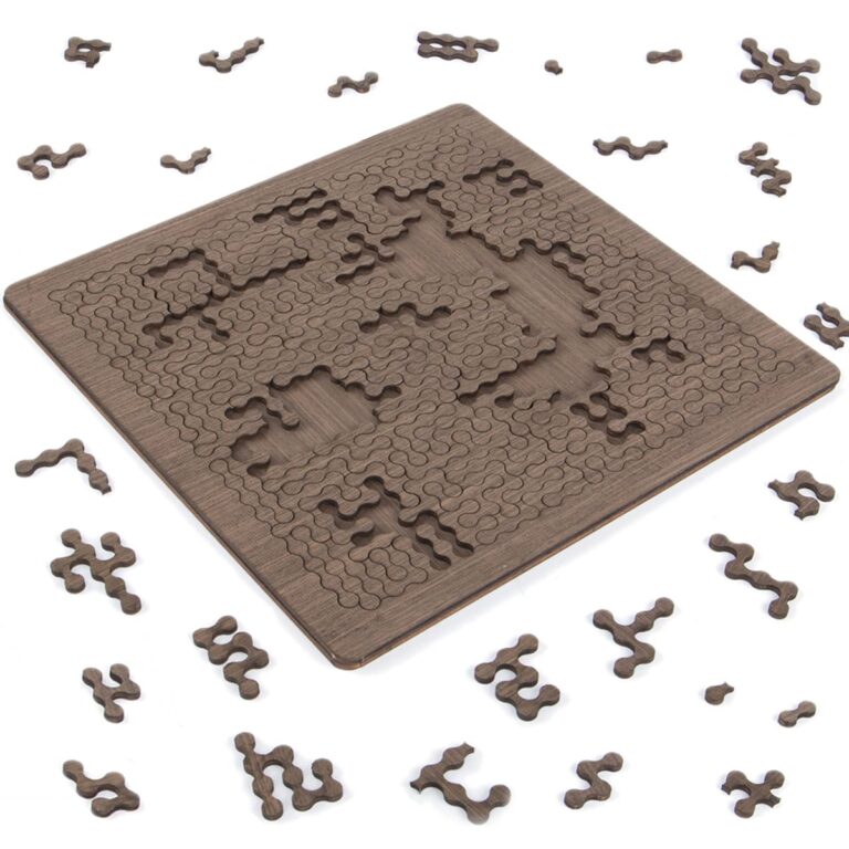 Mind-Bending Wooden Labyrinth Puzzle Game