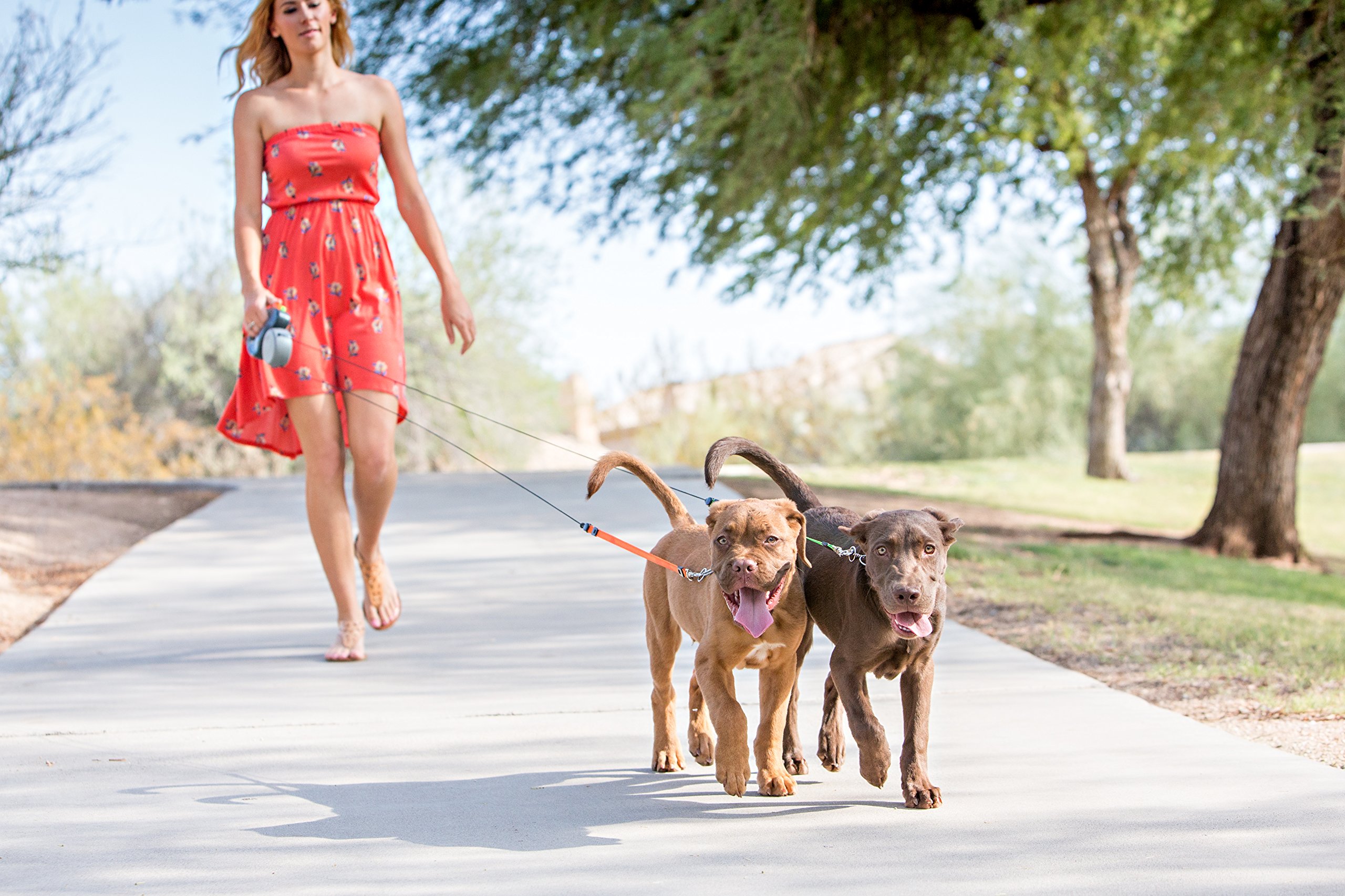 No-Tangle Dual Dog Retractable Leash