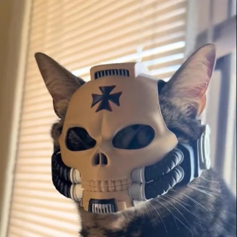 Grimaldus Gothic Cat Helmet for Pets