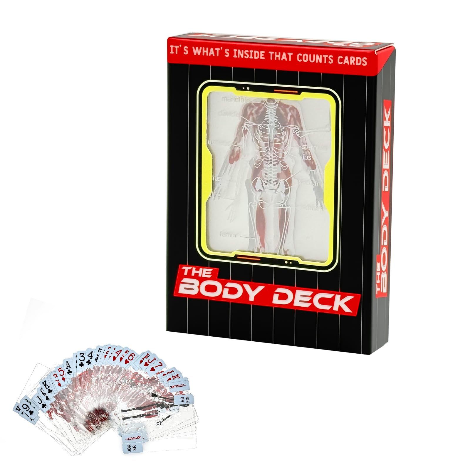 Transparent Human Anatomy Playing Cards with 3D Images